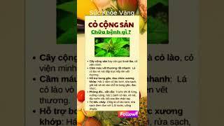 Bí Quyết Giữ Gìn Sức Khỏe Toàn Diện | Sức khỏe vàng #ChămSócSứcKhỏe #BảoVệSứcKhỏe #SốngKhỏeMỗiNgày