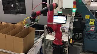 Cobot Application: Co-Packing & End-of-Line Packaging Job 1