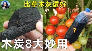 Biochar tricks in Garden 木炭8大妙用, 比草木灰還好, 產量翻倍的秘密, 種菜種花少不了