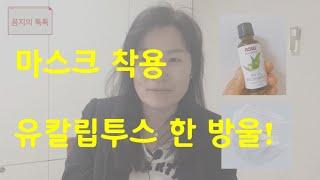 유칼립투스 오일, 면역력 셀프 케어