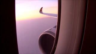 Take Off & Landings 2019  |  Real World Flights from runsame