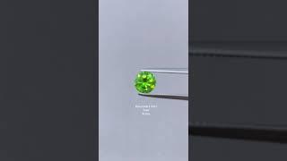 【Ural Mountains俄羅斯烏拉山 翠榴石1.05ct】