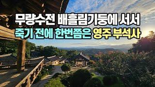 무량수전 배흘림기둥에 기대 서서 | 죽기 전에 한 번쯤은 영주 부석사 | 영주 가볼만한 곳