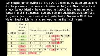 How to Locate Genes on Chromosomes