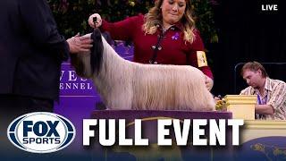 Terrier Group Judging 2025 | FULL EVENT | Westminster Kennel Club