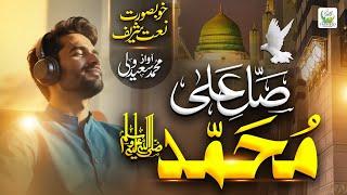 Salle Ala Muhammad | Beautiful Kalam By Muhammad Saeed Wali | Tauheed Islamic