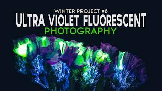  The Winter Studio Week 8: UVIVF Photography – Capturing Fluorescence Under UV Light 