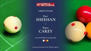 Peter Sheehan vs Wayne Carey | Group Stages | World Championships 2023