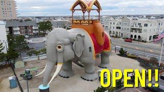 Lucy the Elephant is Finally OPEN