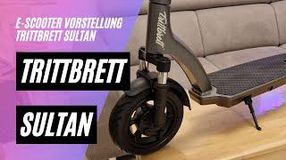  Trittbrett Sultan  Vorstellung und Probefahrt (36V, 15AH, 500W)