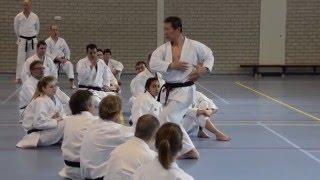 Kagawa-sensei demonstrates how to move in kokutsu-dachi