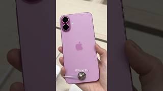 iPhone 16 전컬러 실물 몰아보기! 