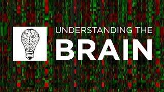 Allen Institute for Brain Science: Understanding the Brain