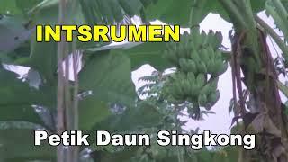 INSTRUMEN PETIK DAUN SINGKONG#viral Lagu Timor#editor Ailaku Studio#video Tradisi#