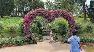 Flower Graden Dalat City