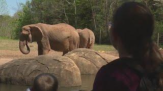 North Carolina Zoo ranked best in the nation