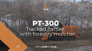 FAE PT-300 tracked carrier with forestry mulcher - Brush clearing in Cochrane, Alberta (Canada)