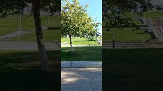 #Самара. Площадь Славы.