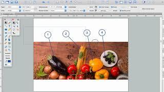 Canvas X Draw - What's New in Canvas Draw 6