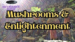 Mushrooms and Enlightenment: The Big One (Trips that Changed My Life Ep. 3)