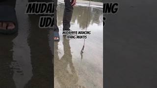 CARA JITU MANCING UDANG MANTIS/ RONGGENG‼️ #mamahnada #balikpapansudah #ngeshortsbareng