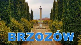 Brzozów - Miasto Tajemnic Historycznych