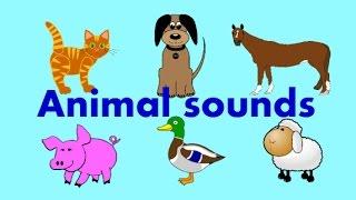 Animal sounds song for children