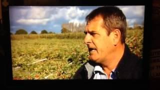 ITV's Coverage Of Storm Damage to Braeburn Orchard - Blackmoor Nursery