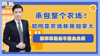 【阿省省提名】整个农场都被你承包了！农场主移民加拿大要满足什么条件？