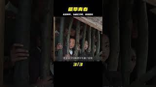 催淚電影《藏草青春》，北京青年為支教事業奉獻一生 #初尧电影 #电影 #电影解说 #影视 #影视解说