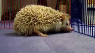 Kaylee's Movement Issues 4