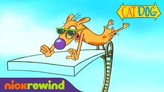 Dog Breaks a Handful of Pool Rules | CatDog | Nicktoons