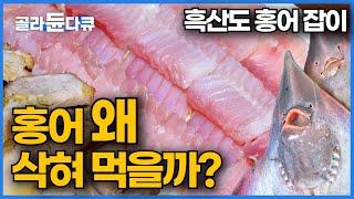 흑산도 대표 특산물! 홍어를 삭히기 시작한 이유｜한마리에 70만원? 수컷보다 비싼 암컷 홍어｜홍어잡이 어선 먹방｜극한직업｜골라듄다큐