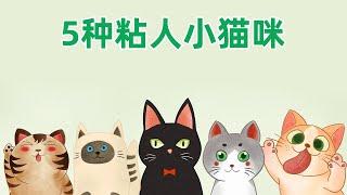 5种最粘人的猫品种，你的小猫咪粘人不？