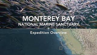 Expedition Overview: Monterey Bay National Marine Sanctuary | Nautilus Live