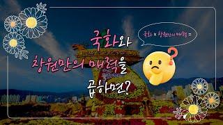 국화 × 창원만의 매력 = ? l 이 지도 하나면 국화축제 OK