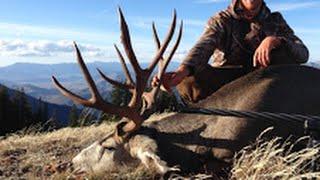 Wyoming Mule Deer Hunt 180"- Stuck N the Rut 56