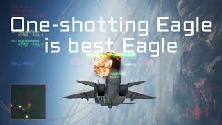 The Super Eagle, Lord of OHKO | Ace Combat 7 Multiplayer ft. F-15S/MTD w/ HPAA
