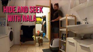 Hide and Seek with NALA Cat 