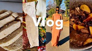 Vlog:cooking dombolo and stew | grocery shopping | DR appointments | South African YouTuber