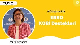 EBRD KOBİ Destek Programları  |  Serpil Çetinçift