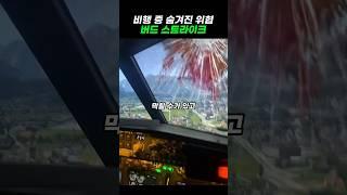 비행 중 숨겨진 위협 ’버드 스트라이크‘#shorts