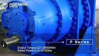 AOKMAN P series Planetary gearbox