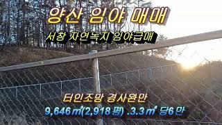 양산 임야 매매/양산 부동산 매매/ 양산토지 매매 /경남일원 토지전문  매물접수 상담환영 T)055-363-0015