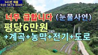 (341번 매물)밭이 평당 6만원.농막1동.자연계곡 접.포장도로 접.전기있음.주택허가 가능.완전 무공해지역.전원생활 가능.자연힐링 최적지.농촌체류형 쉼터 최적지.배짱편한곳.계획관리