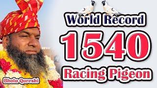 Bholu Qureshi Ne Banaya 1540 Kabootar Daudane Ka World Record | Delhi Ki Kabutar Bazi |  #Pigeon