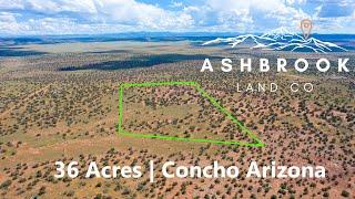 Northern Arizona Land For Sale | 36 Acre Wooded Off-Grid Homestead | Ashbrook Land Co