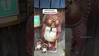 Japanese Tanuki!  #shorts