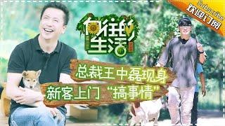 《向往的生活》第2期20170122: 霸道总裁王中磊变“苦工” 陈赫搞事情遭嫌弃 Happy Life EP.2【湖南卫视官方频道】