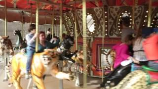 Phoenix ZOO carousel